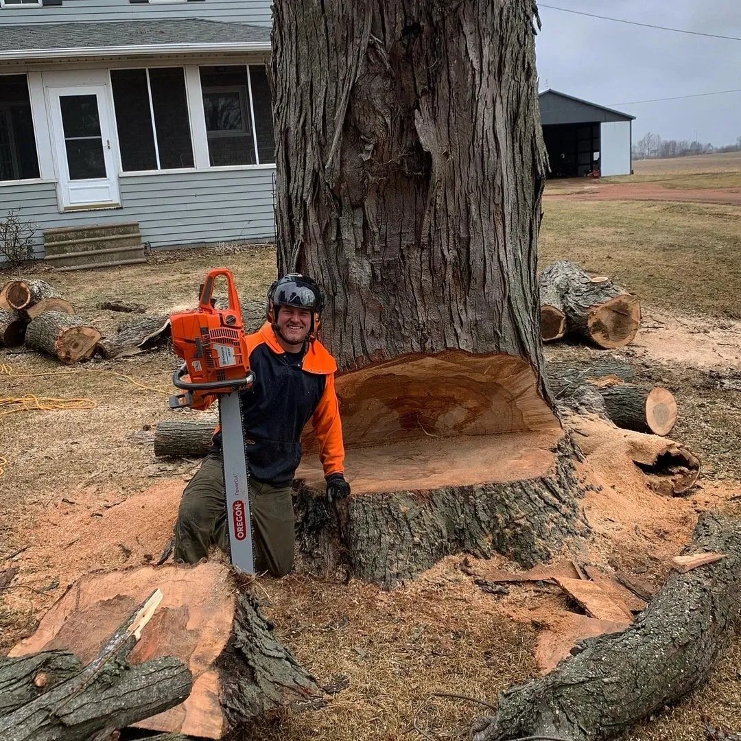 Wellner Arboriculture tree service project