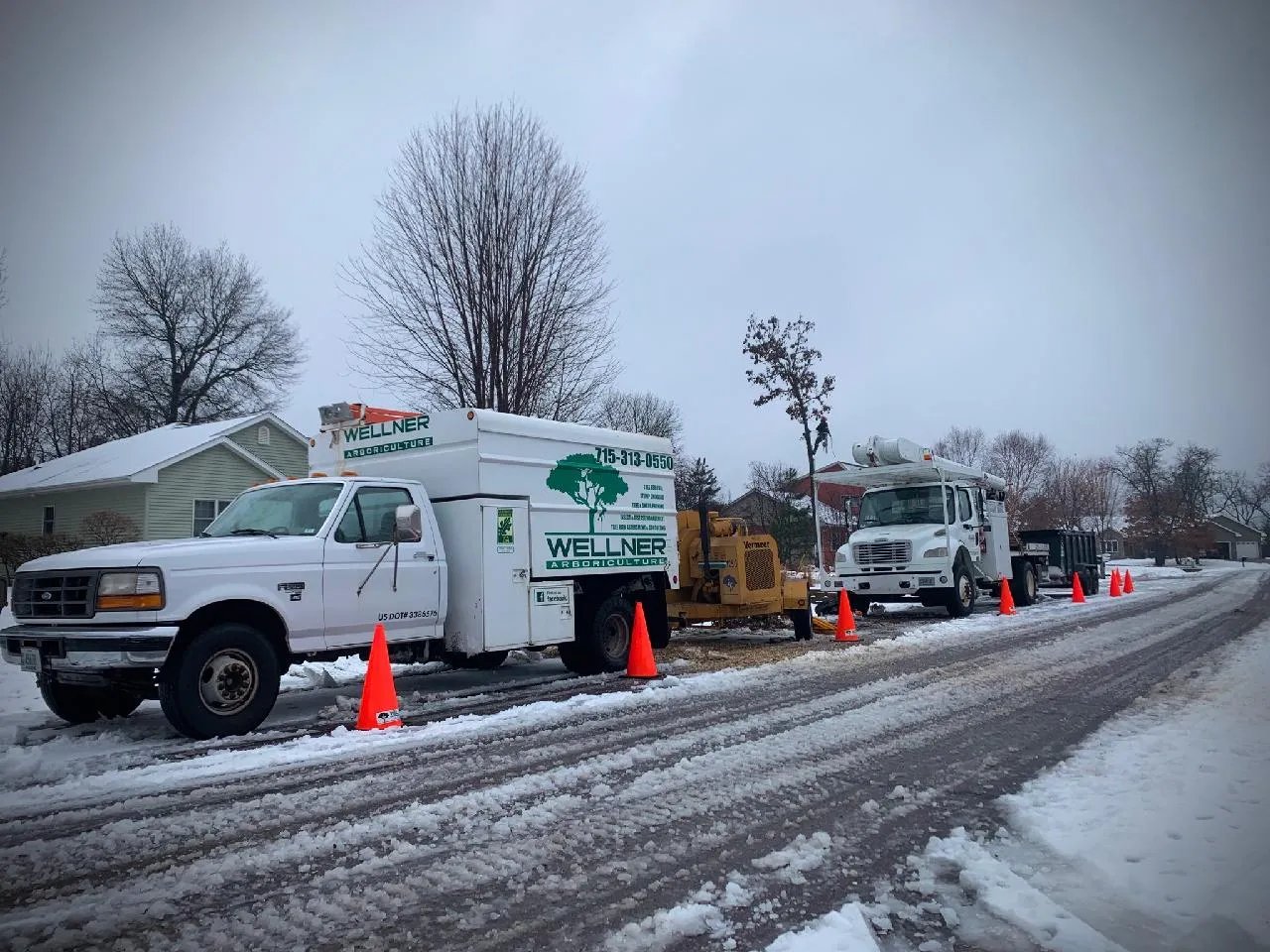 Wellner Arboriculture tree service project