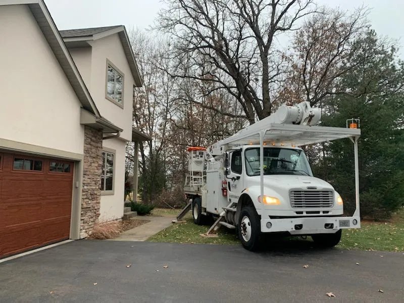 Wellner Arboriculture tree service project