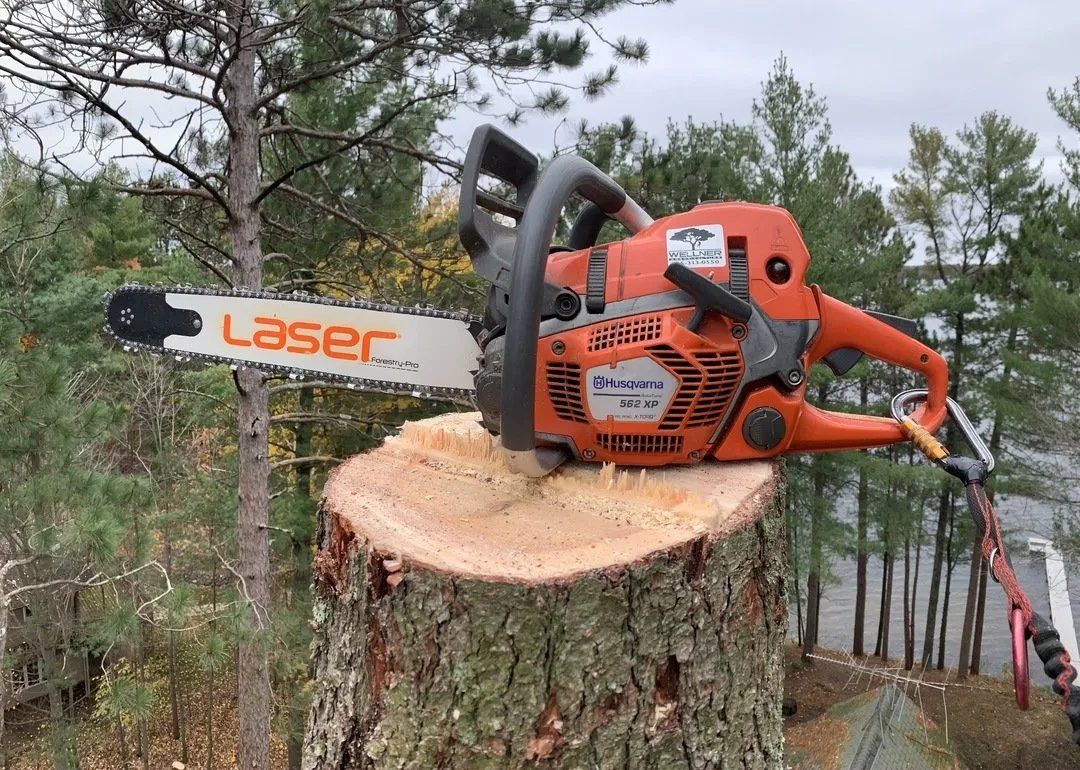Wellner Arboriculture tree service project